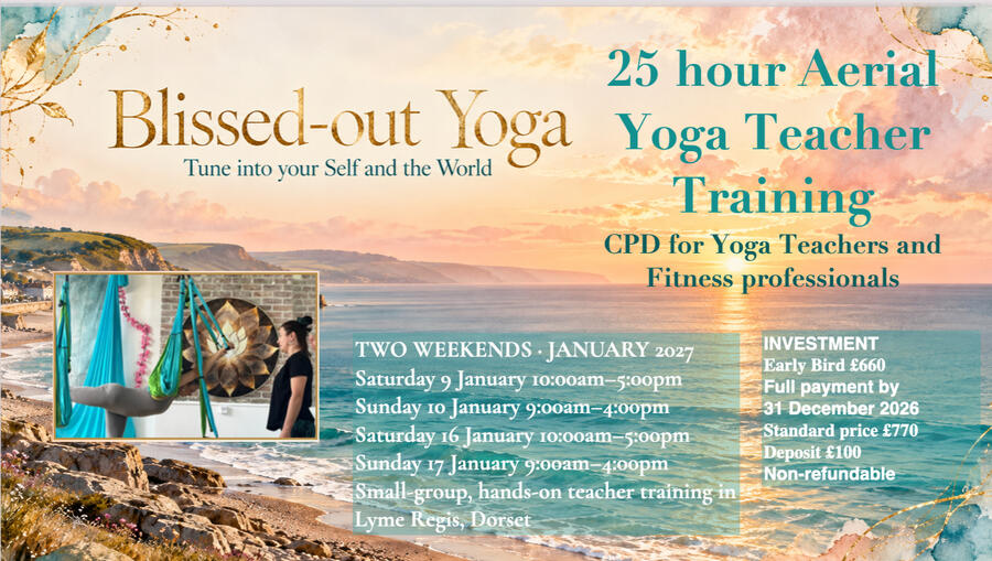 Blissed-out Aerial Yoga Aerial Yoga Teacher Training